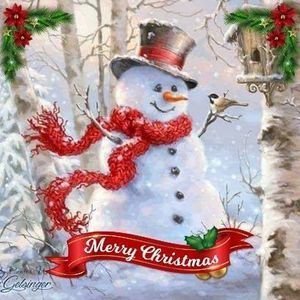 Meet your Posher, Regina n